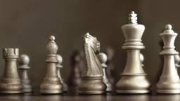 Leaders of banks are not allowed to chair other businesses
