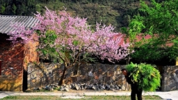 PM approves the master plan to develop Dong Van stone plateau in Ha Giang