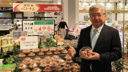 Vietnamese lychees sold out in Japan despite high price