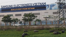 Samsung attained record profits US$19 billion in Vietnam, more than double its invested capital