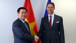 Vietnam and EU commit to endorse final procedures for ratifying mutual free trade agreement by 2018