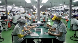 Vietnam's economy to expand 6.6 per cent in 2019: World Bank