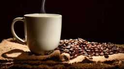 Marubeni invests $115 million to build instant coffee factory in Vietnam