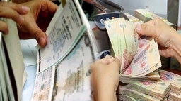 Vietnam’s local currency bond market posts positive growth through Covid-19