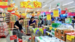 Which brands dominate Vietnam’s supermarket segment