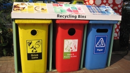 Experience of waste sorting in some leading countries