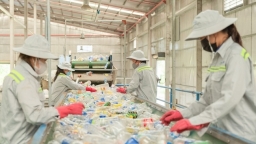 The story behind Vietnam's recycled plastic bottles in America