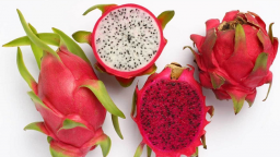 Fruit and veggie exports top over $2 billion in half year