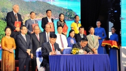 IPPG pouring some $300 million in Phu Quoc tax-free zone