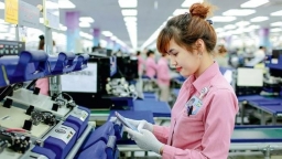 Vietnam to enjoy stronger FDI inflows from slow-release trade tensions effects