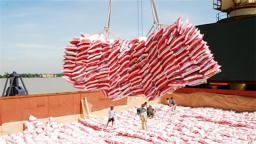 Sub-License in the export of rice: The red seal of Vietnam Food Association