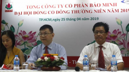 Bao Minh Insurance to scrap its foreign ownership limit
