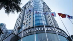 Viglacera auctions 120mn shares