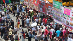 Vietnam Festival 2017 opens in Tokyo