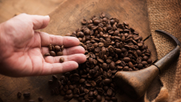 Vietnam's exporters hunt for robusta coffee as supplies dwindle