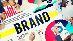 Enterprises in the Triangle: Customer – Information – Brand