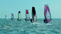 Windsurfing and business opportunities