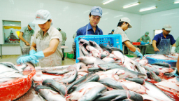 Seafood export increased sharply in the first half of 2017