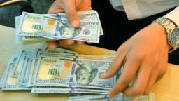SBV to inspect the USD mobilizing rates