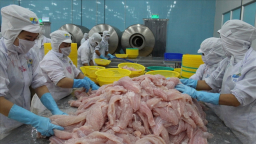 VASEP to oppose the US's increase of 'unreasonable' dumping tax on Vietnamese catfish