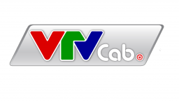 VTVcab to be equitized before September 30th