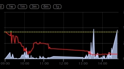 DQC share price plunges