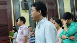 Fake drug ring leaders sentenced to 12 years in jail for smuggling and forgery