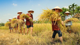 Agritourism promises new potential for Vietnam’s tourism industry