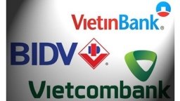 Vietnamese banks, dairy giant named among world’s largest listed firms