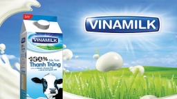 SCIC to sell Vinamilk’s stakes attaining around US$300 million on November 10