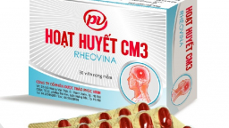 Five pharmaceutical businesses are sanctioned for violation of food safety laws