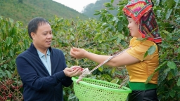 Vietnam's leading pepper exporter secures up to $25 million loan