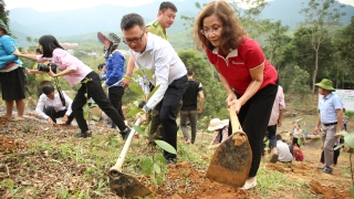 SeABank và Tập đoàn BRG chung tay phủ xanh 20ha rừng tại Lào Cai