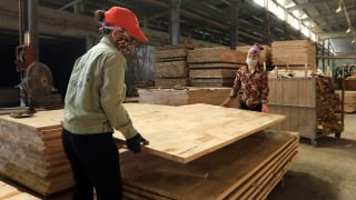 Nghị quyết 138/NQ-CP của Chính phủ ban hành kế hoạch hành động thực hiện Nghị quyết 68-NQ/TW về phát triển kinh tế tư nhân