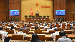 Quốc hội 'chốt' tăng thuế tiêu thụ đặc biệt với nước ngọt và rượu bia
