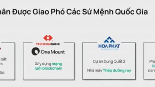 Dragon Capital chỉ ra bốn tập đoàn tư nhân tiêu biểu được giao phó các sứ mệnh quốc gia