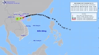Bão Wipha nằm trên đất liền ven biển giữa Hưng Yên và Ninh Bình