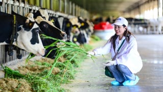 Vinamilk 'mở khóa tự nhiên' tại Green Farm: Mô hình sinh thái truyền cảm hứng đến cộng đồng doanh nghiệp