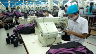 Garment exports increased by 40 times as a result of FTAs