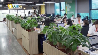 1Office nhận đầu tư từ Nhật Bản