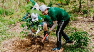 Nestlé tăng cường hợp tác thúc đẩy nông nghiệp tái sinh và phát thải thấp