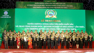 Nông nghiệp Việt và bài toán 'sạch từ trang trại đến bàn ăn'