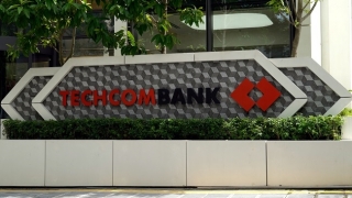 Techcombank bứt phá, dự kiến chia cổ tức 20%