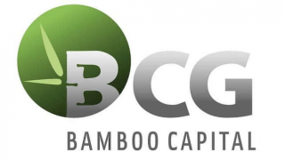 Bamboo Capital giải trình cổ phiếu tăng trần 5 phiên liên tiếp