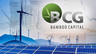 Bamboo Capital đạt hơn 546 tỷ đồng lợi nhuận năm 2022