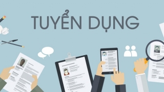 Dòng vốn đầu tư vào các startup tuyển dụng Việt Nam