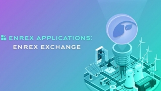 Quỹ Blockchain của Shark Bình rót nửa triệu USD vào startup Enrex