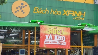 Cuộc đại phẫu ở Bách Hóa Xanh