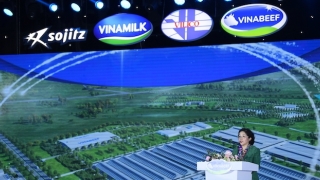 Vinamilk sẽ tự bán thịt bò mát từ năm 2024