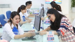 IFC: Ngân hàng Việt cần nhiều lãnh đạo nữ hơn